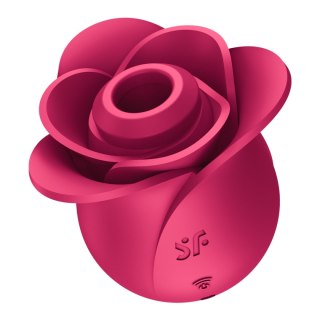 Satisfyer Pro 2 Modern Blossom/Rose wibrator bezdotykowy do łechtaczki różowy