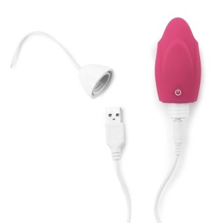 IJOY Wireless Remote Control Rechargeable Egg Lovetoy