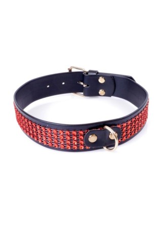 Fetish B - Series Collar with crystals 3 cm Red Line Fetish B - Series