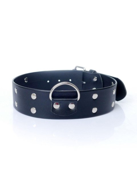 Fetish B - Series Collar with studs 4 cm Fetish B - Series