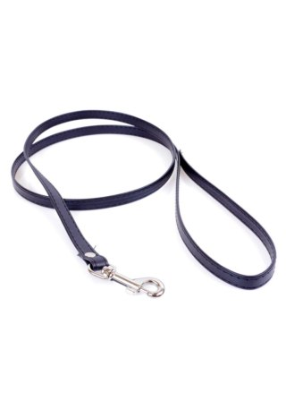 Fetish B - Series Leash Fetish B - Series