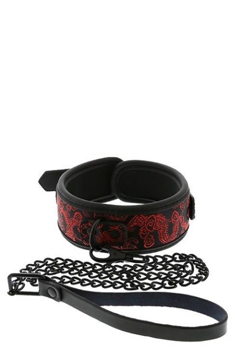 BLAZE DELUXE COLLAR & LEASH Dream Toys