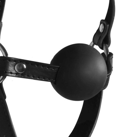 Blindfolded Head Harness with Solid Ball Gag - Black Ouch!