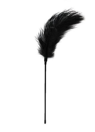 Pejcz-Black Feather Tickler EasyToys