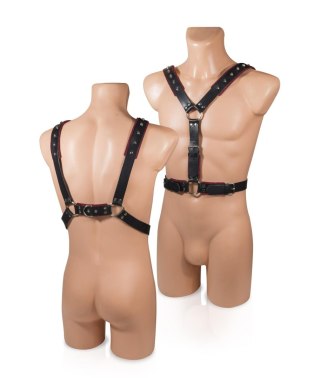 Uprząż męska Harness nr 1 czerwono-czarna - Whips