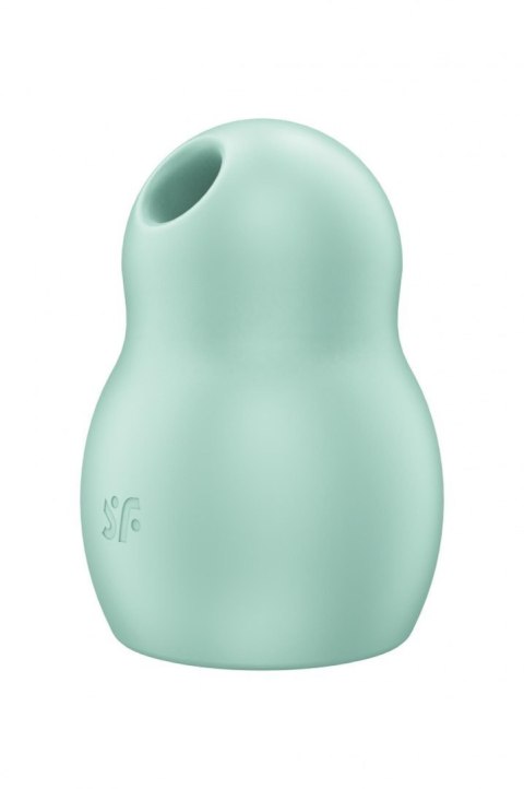 Pro To Go 1 mint Satisfyer