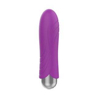 Exclusive Bullet USB 10 functions Purple B - Series Vision