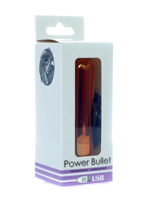 Power Bullet USB 10 functions Glossy Rose Gold B - Series Vision