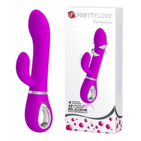 PRETTY LOVE - TERNENCE USB PURPLE 4 rot. 12 vibration Pretty Love