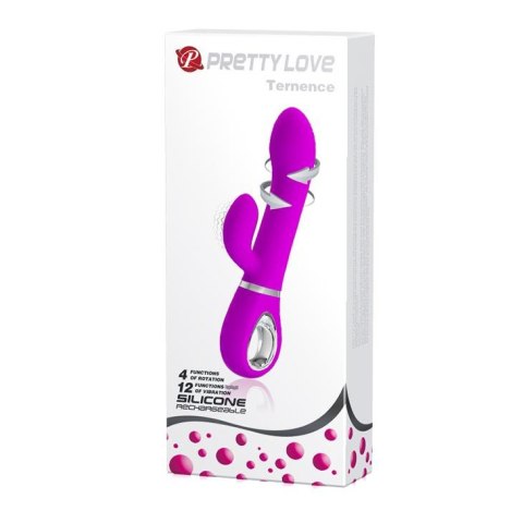 PRETTY LOVE - TERNENCE USB PURPLE 4 rot. 12 vibration Pretty Love