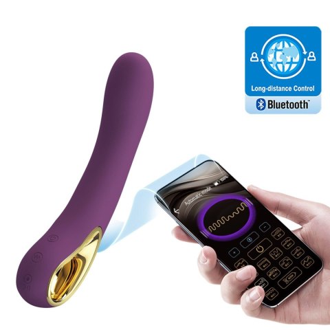 PRETTY LOVE - Ethan purple, 12 vibration functions Mobile APP Long-distance Control Pretty Love