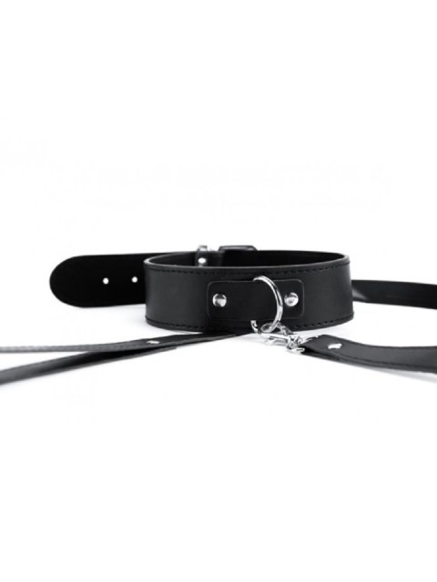 Black Collar And Leash Argus